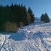 Ambiente invernale ed una bella pineta.