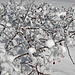 Hagebutten - rote Tupfer im Schnee