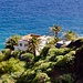 Ein herrliches Anwesen auf einem Hügel an der Playa Bermejo. 