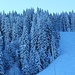 Steilhang zum Zahn