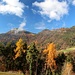 Herbststimmung oberhalb Bolzano