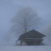 oberhalb der Wannen(flue) bricht knapp die Sonne durch den Nebel - und lässt die hübsche Jägerhütte mystisch erscheinen