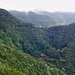 Wälder im Anaga-Gebirge.