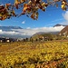 Goldener Herbst bei Bolzano
