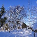 Schneeskulpturen auf dem Rotstein (1285m)