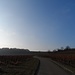 Wir überquerten die Schnellstraße D1420, die von Straßburg ins Breuschtal führt, und wanderten in die Weinberge hinauf.