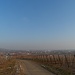 Rückblick nach Dorlisheim und Molsheim.