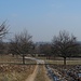 Rückblick nach Rosheim.