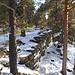Direkt oberhalb des Hagelschlosses trifft man auf die eindrucksvollen Reste der sogenannten „Heidenmauer“, einer mehr als 10 km lange steinerne Schutzmauer, die das gesamte Gipfelplateau des Odilienbergs umgibt.