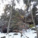 Zurück am Sattel machten wir noch einen Abstecher zur Grotte d'Etichon.