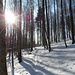 Wir folgten der Straße einige Meter und wechselten nach der Breitmatt auf den Wanderweg oberhalb der Straße.
