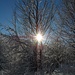 Herrliche Winterstimmung!