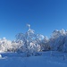 Wir hatten herrlichstes Winterwetter!