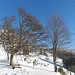 Der Winterwanderweg nach Belmont.