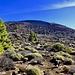 Vulkanlandschaft im Teide Nationalpark.