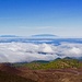 Unten noch Kieferwälder, im Hintergrund die Insel La Palma.