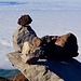 Gipfelsteinmann auf dem Pico Viejo.