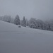 Schnee in der Schnebelhorn Gipfelflanke