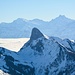 Der Zapfen ist immer wieder fotogen