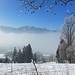 sich lichtender Nebel im Ammertal