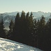 Wetterstein mit der Partenkirchner Dreitorspitze 