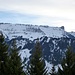 Schratte, [u Zaza ], [u Alpin Rise],+ [u Polder] sind grad kurz oberhalb Imbrig im Aufstig über die steile Flanke zum Hängst