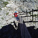 Ralf auf der Brücke im Ausstieg des Pisciadu-Klettersteiges.