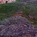 Dies ist einer der Ausläufer vom Montaña Ijada. Unten siehst du die letzen Gebäude von Santiago del Teide. Von dort ist der Ausgangspunkt für den Aufstieg.