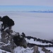 Gipfelaussicht von der Aiguilles de Baulmes (1559m) übers Nebelmeer zu den Alpen.