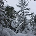 Winterzauber auf dem Nordostgrat vom Le Suchet - zu jeder Jahreszeit ist die Route wahrscheinlich die schönste zum Gipfel.