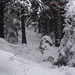 Winterzauber auf dem Nordostgrat vom Le Suchet.