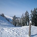 Winterlandschaft in der Sonne - bei der Underi Chüebisegg