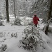 "Rotkäppchen" im Winterwald