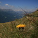 View towards Gotthard from Pian Pécian
