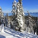 The view to Lake Tahoe is omnipresent during the whole tour
