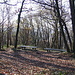 area picnick Crosaccia