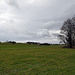 Blick ins Grüne