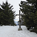 Gipfel des Teisenbergs