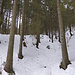 Nahe Brandgraben