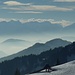 Schöner Dunst