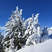 Winterlook...