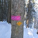 Im Winter werden hier die Wanderweg-Markierungen durch "mobile" Schneeschuh-Signete ergänzt