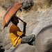 der äthiopische Denker - farbenfroh mit Sonnenschirm
