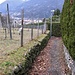 Dal castello di Sasso Corbaro si può scendere a quello di Montebello sfruttando dei passaggi fra le case, gli orti ed i giardini. Vi sono delle frecce in verde fluo ad indicare il cammino. 