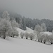 erst bezaubern jedoch schönste monochrome Winterlandschaften ...