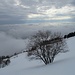 scendendo verso l'Alpe del Vicerè : panorama sul pendio del Monte Bolettone 