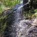 idyllisch und ein Hauch von Tropen, der kleine Wasserfall im Menagesha, der aktuell kaum Wasser führt