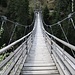 A quota 880 metri si attraversa il ponte sospeso Traversinasteg, costruito in pendenza al contrario delle normali passerelle.
