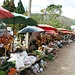 Markt in Doi Mae Salong auf 1367m in den Bergen