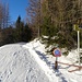 Einstieg zum Skitourenroute